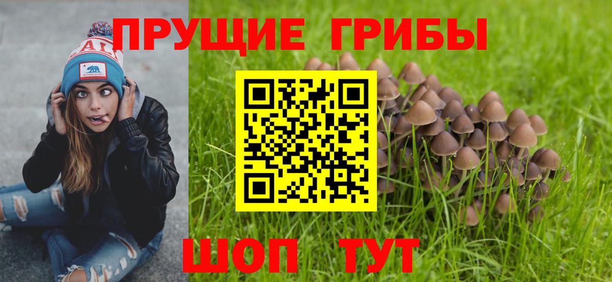 Псилоцибиновые грибы мицелий Верхняя Салда
